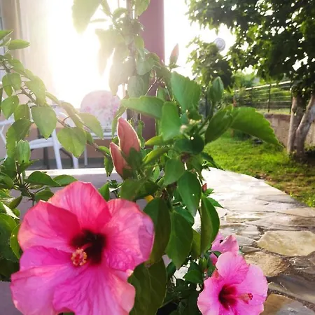 Apartmán Ntina Kastrákion